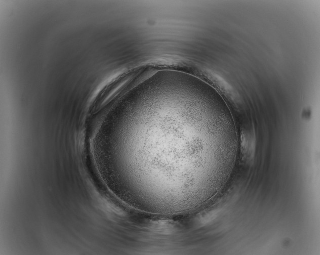X0000101100396200807031755