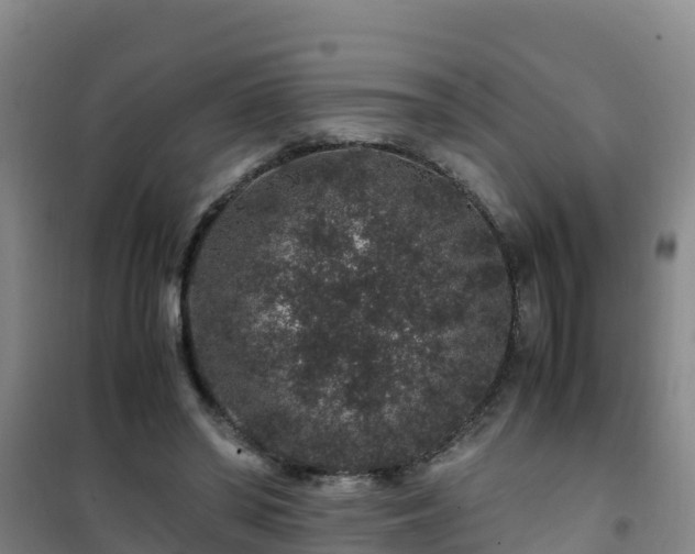 X0000101100398200807031755