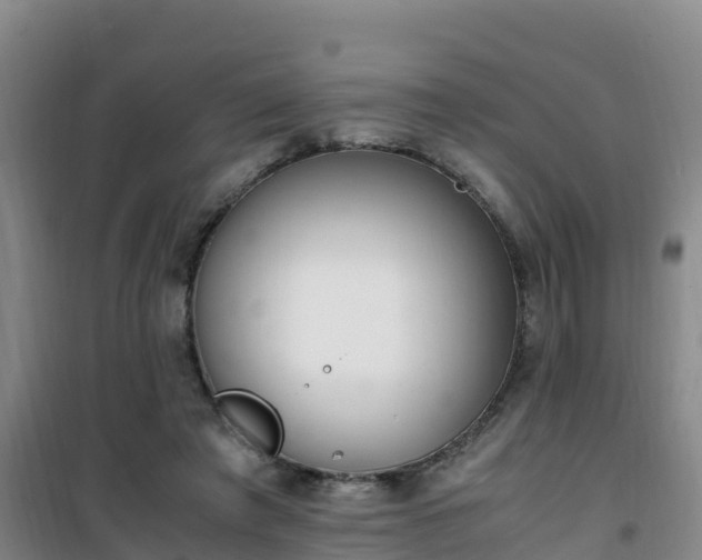 X0000101100401200807031755