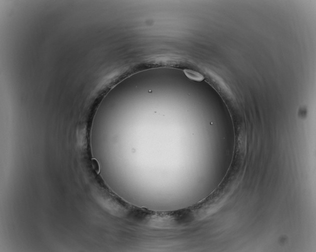 X0000101100403200807031755
