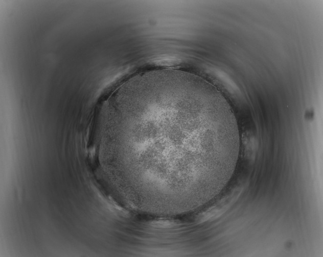 X0000101100404200807031755
