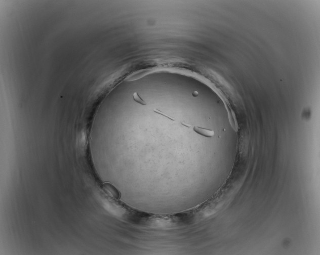 X0000101100405200807031755