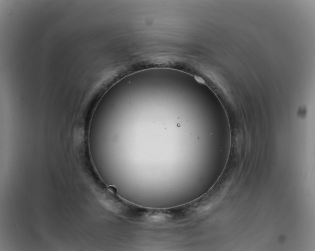 X0000101100407200807031755