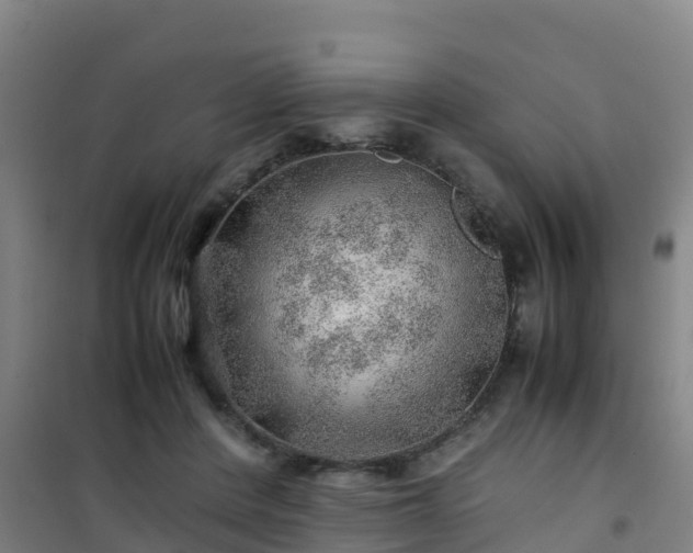 X0000101100408200807031755