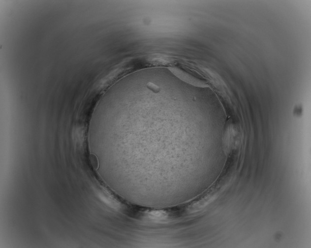 X0000101100409200807031755