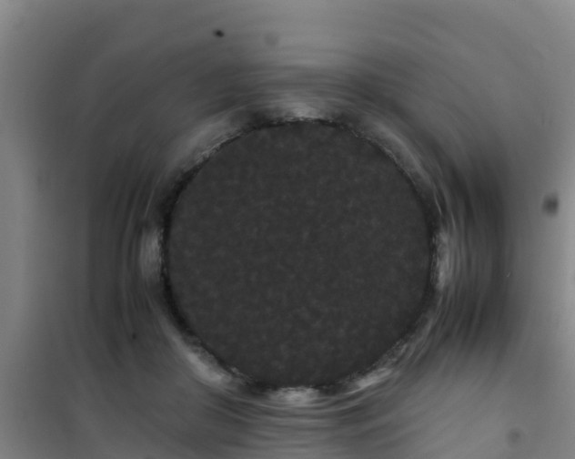 X0000101100410200807031755