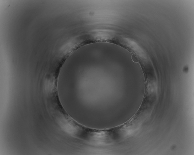 X0000101100411200807031755