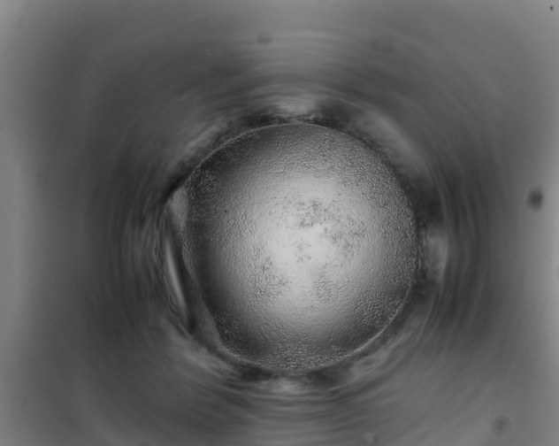 X0000101100412200807031755