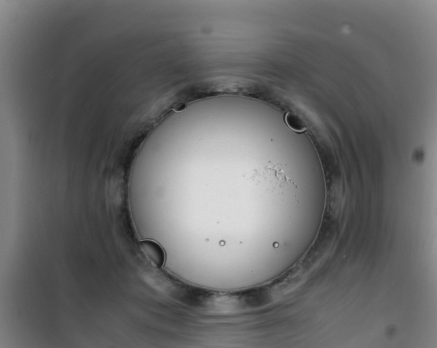 X0000101100413200807031755