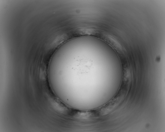 X0000101100414200807031755