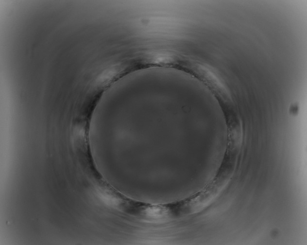 X0000101100415200807031755