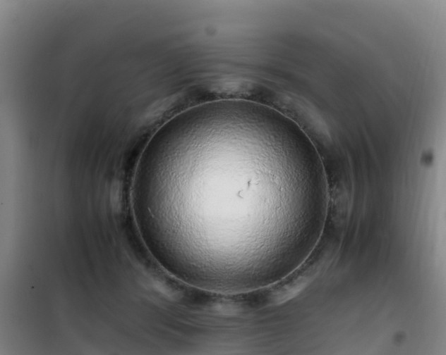 X0000101100416200807031755