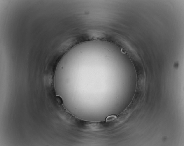 X0000101100417200807031755