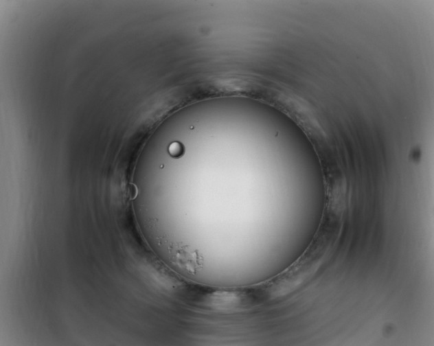 X0000101100418200807031755