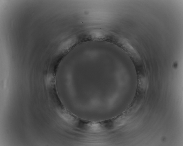 X0000101100419200807031755