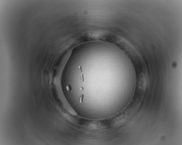 X0000101100420200807031755