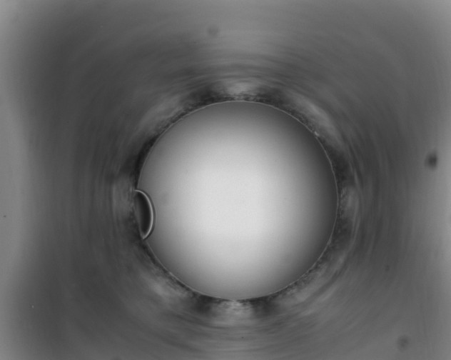 X0000101100421200807031755