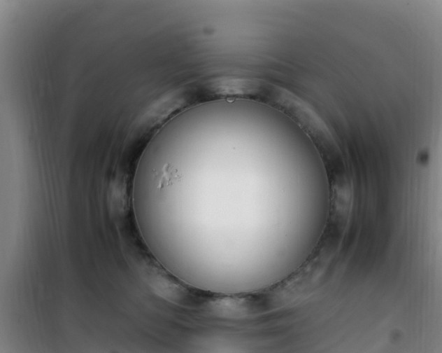 X0000101100422200807031755
