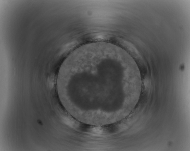 X0000101100423200807031755