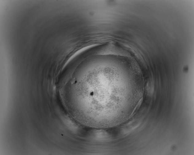 X0000101100424200807031755