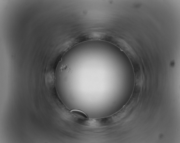 X0000101100425200807031755