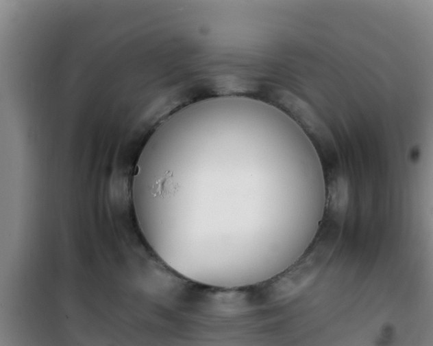 X0000101100426200807031755