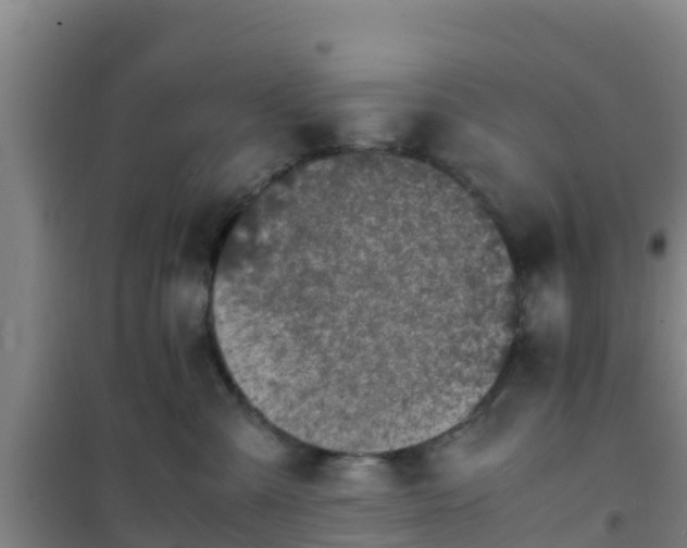 X0000101100427200807031755