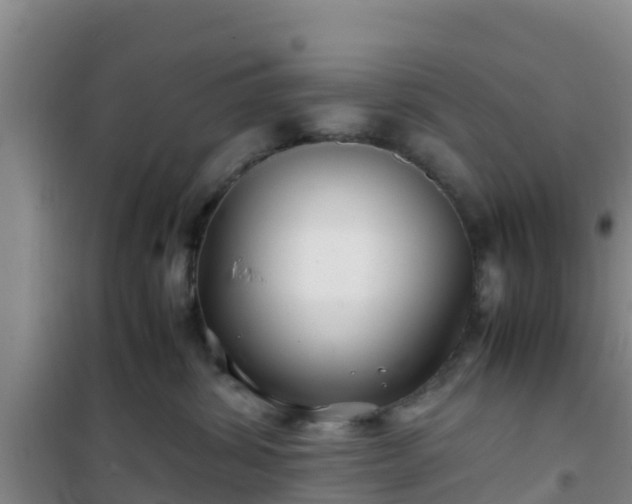 X0000101100428200807031755