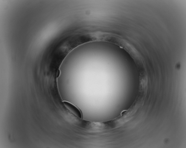 X0000101100429200807031755