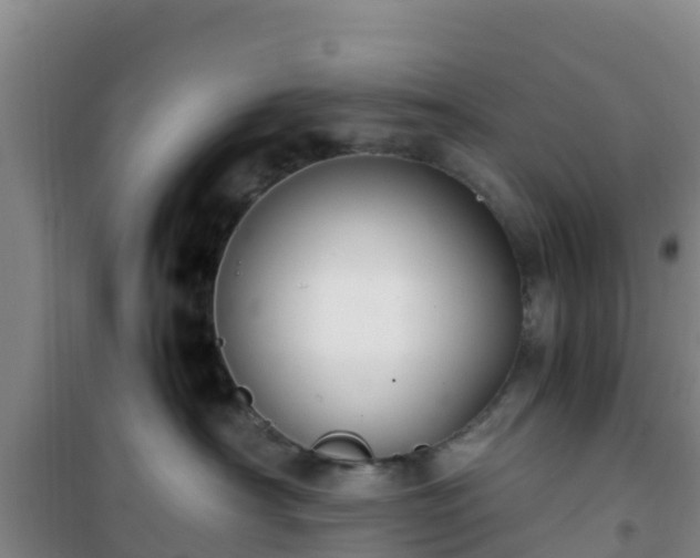 X0000101100430200807031755