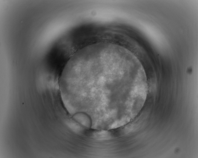 X0000101100431200807031755