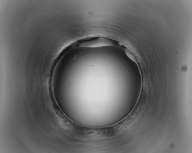 X0000101100434200807031754