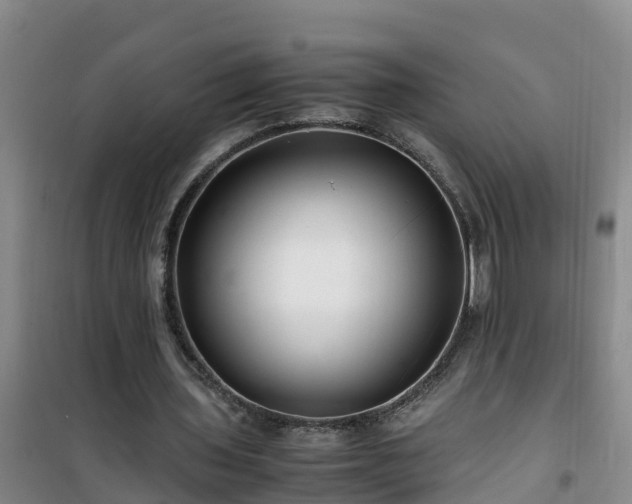 X0000101100435200807031754