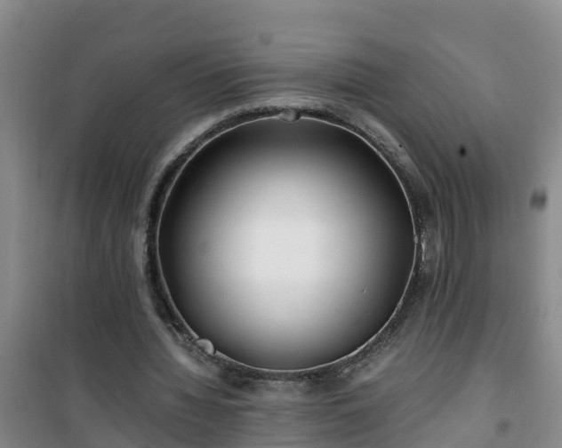 X0000101100436200807031754