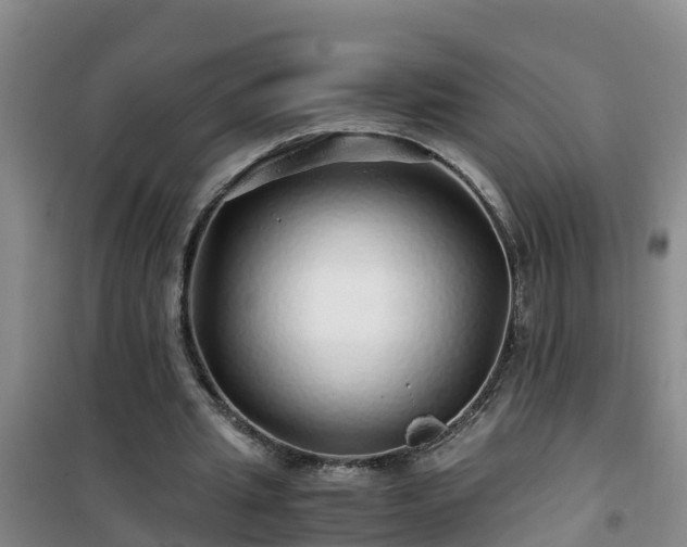 X0000101100437200807031754