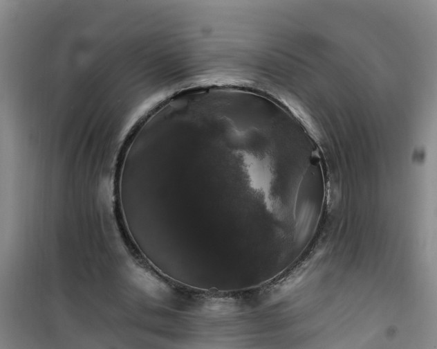 X0000101100438200807031754