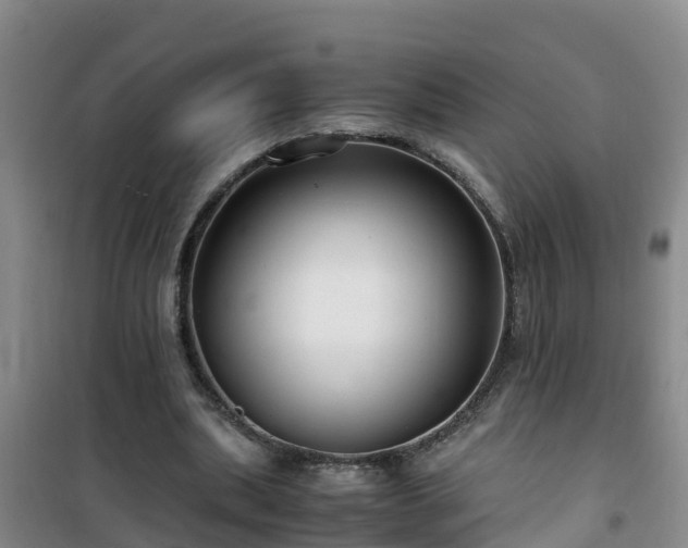 X0000101100439200807031754