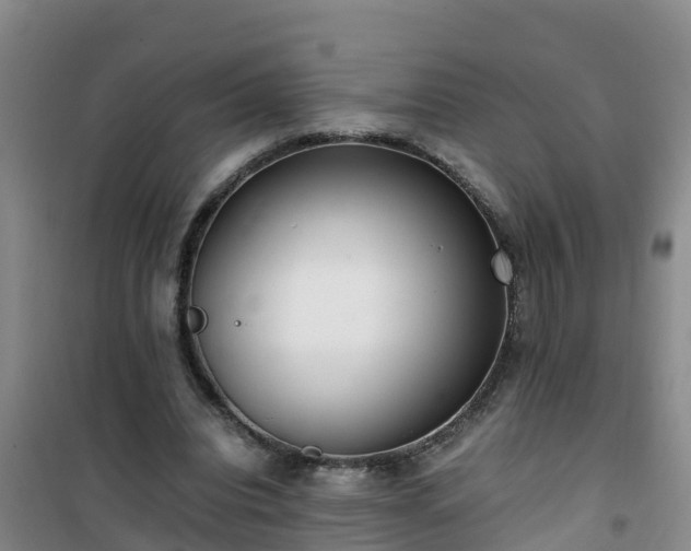 X0000101100440200807031754