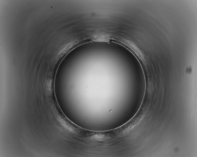 X0000101100441200807031754