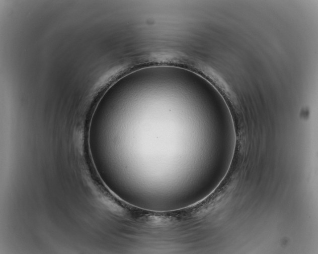 X0000101100442200807031754