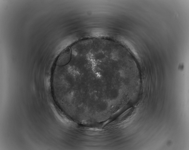 X0000101100443200807031754