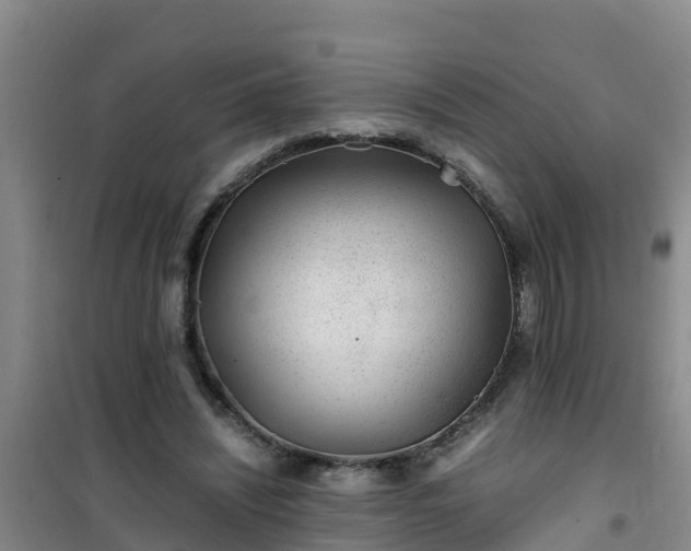 X0000101100444200807031754