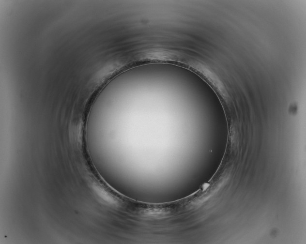 X0000101100445200807031754