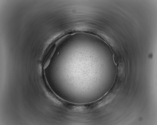 X0000101100446200807031754