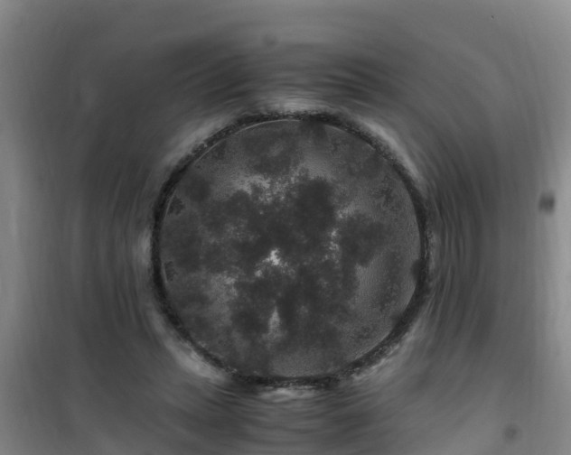 X0000101100447200807031754