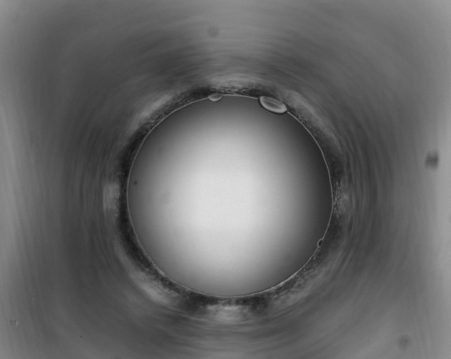 X0000101100448200807031754