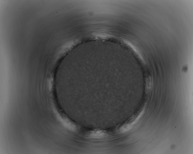 X0000101100451200807031754