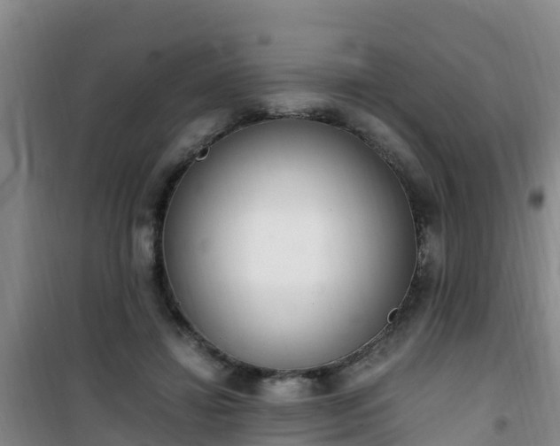 X0000101100452200807031754