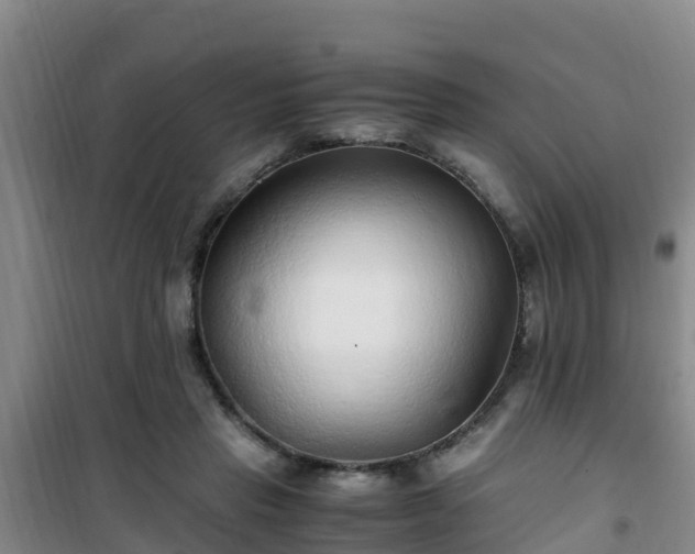 X0000101100453200807031754