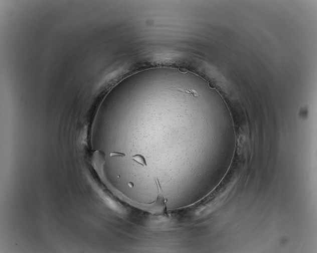 X0000101100454200807031754